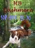 DOGS 2