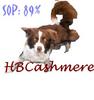 DOGS 2