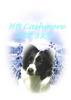 DOGS 2