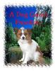 DOGS 2