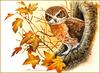 [Eric Shepherd's Beautiful Australian Birds Calendar 2002] Owl
