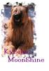 DOGS 2