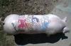 Tattoo pigs