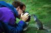 Curious Squirrel