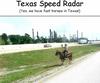 Fast Horse