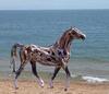 Driftwood horses