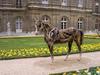 Driftwood horses