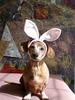 Easter Bunny?