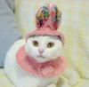 Easter Cat