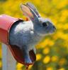 Easter Mailbox