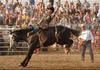 Rodeo