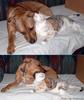 Don't bother me