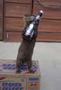 Even otter's have terrible taste