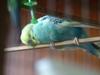 wake me up at dinner time please zzzzzzzzzzzzzz