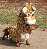 Giraffe Dog