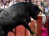Bullfighting