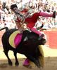 Bullfighting