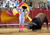 Bullfighting