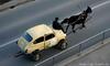 Horse Cart