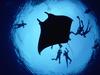 [Daily Photos] Divers With a Giant Manta Ray