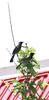 Birds on my tree