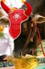 Royal Oxen