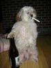 Bad attitude