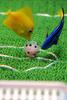 Fish Soccer