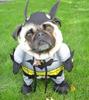 PugMan