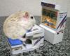 Hammie Winz