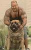 Dog-owner Lookalike