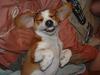 I'm Happy!!