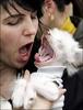 Dog-owner lookalike yawners