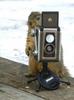 Squirrel Photographer