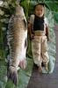 Giant fish