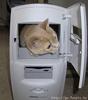 Comcat