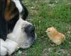 Uh, excuse me mister, have you seen my mother?