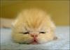 Sssshhhh, baby sleeping