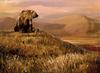 Bear Vista