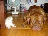 Friends1