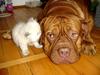 Friends2