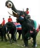 Thai elephants, soccer