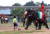 Thai elephants, soccer