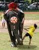 Thai elephants, soccer