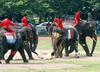 Thai elephants, soccer