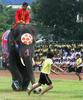 Thai elephants, soccer