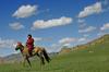 Mongolian Horseman