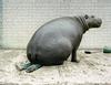 The hippo won this battle