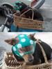 Puppy Helmet