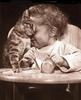 Cuties - kitten and baby